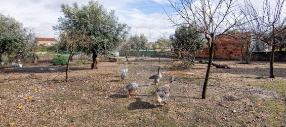 5 غرف نوم منزل في Perais, Portugal رقم 177599 40