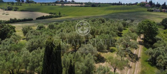 4 bedrooms House in Castiglione del Lago, Italy No. 178535 14