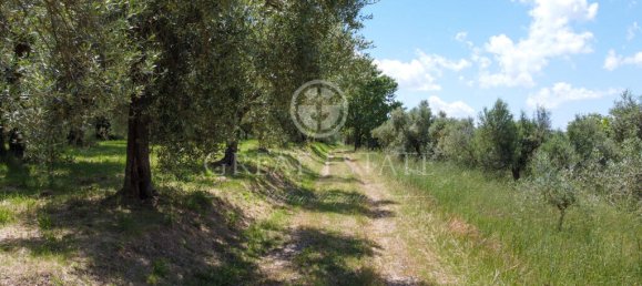 4 bedrooms House in Castiglione del Lago, Italy No. 178535 15