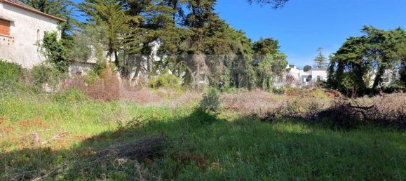 3495m² Land in Cascais, Portugal No. 126832 6