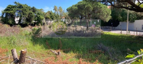 3495m² Land in Cascais, Portugal No. 126832 7