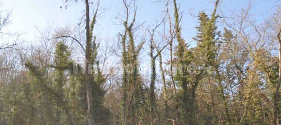 Grundstück in Impruneta, Italy 20000m², Nr. 263126 3