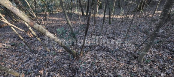 Grundstück in Impruneta, Italy 20000m², Nr. 263126 6