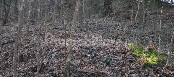 Grundstück in Impruneta, Italy 20000m², Nr. 263126 7