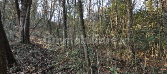 Grundstück in Impruneta, Italy 20000m², Nr. 263126 4