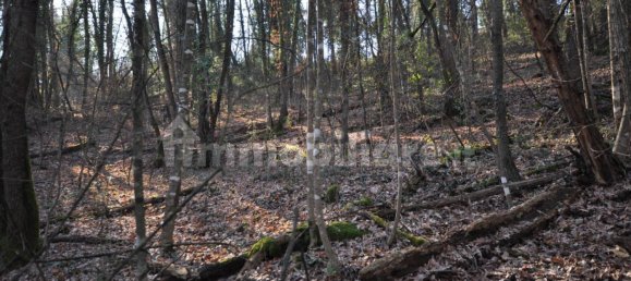 Grundstück in Impruneta, Italy 20000m², Nr. 263126 13