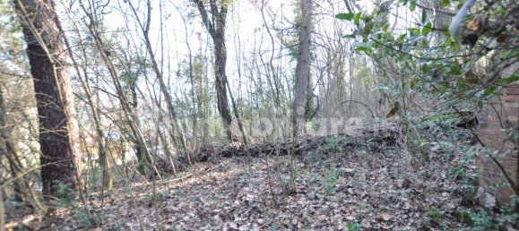 Grundstück in Impruneta, Italy 20000m², Nr. 263126 5