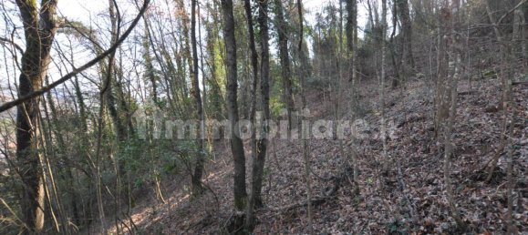 Grundstück in Impruneta, Italy 20000m², Nr. 263126 8