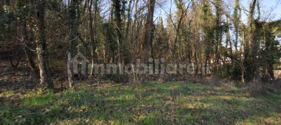 Grundstück in Impruneta, Italy 20000m², Nr. 263126 10