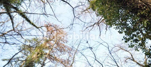 Grundstück in Impruneta, Italy 20000m², Nr. 263126 9