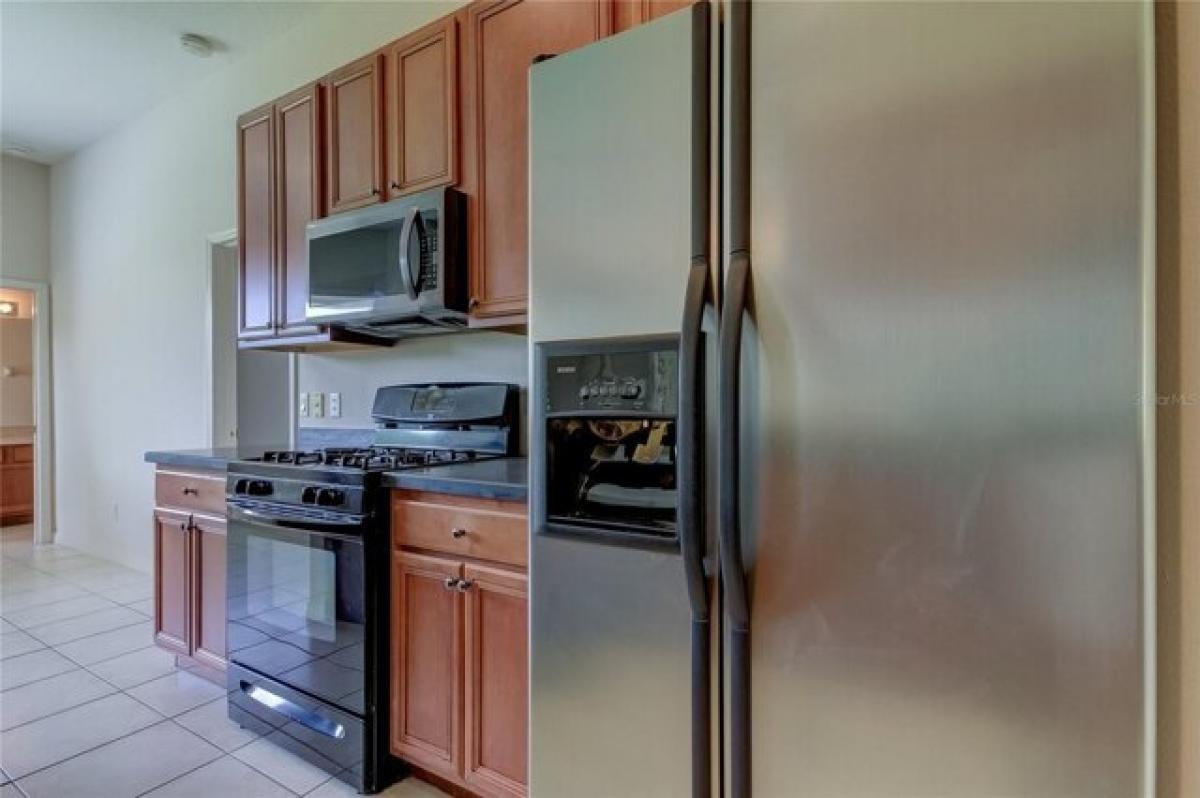 4 bedrooms House in Tampa, USA No. 222288