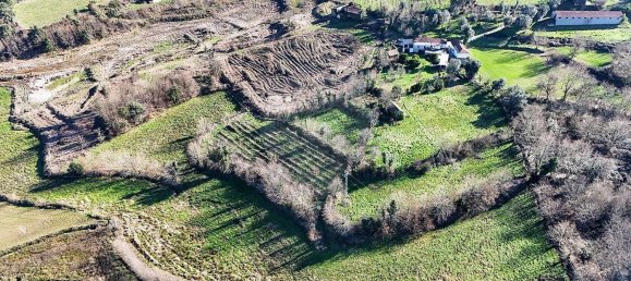 3 chambres Maison à Faia, Portugal No. 38021 19