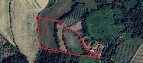 3 chambres Maison à Faia, Portugal No. 38021 24