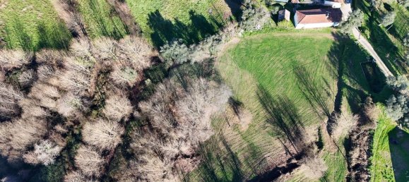 3 chambres Maison à Faia, Portugal No. 38021 17