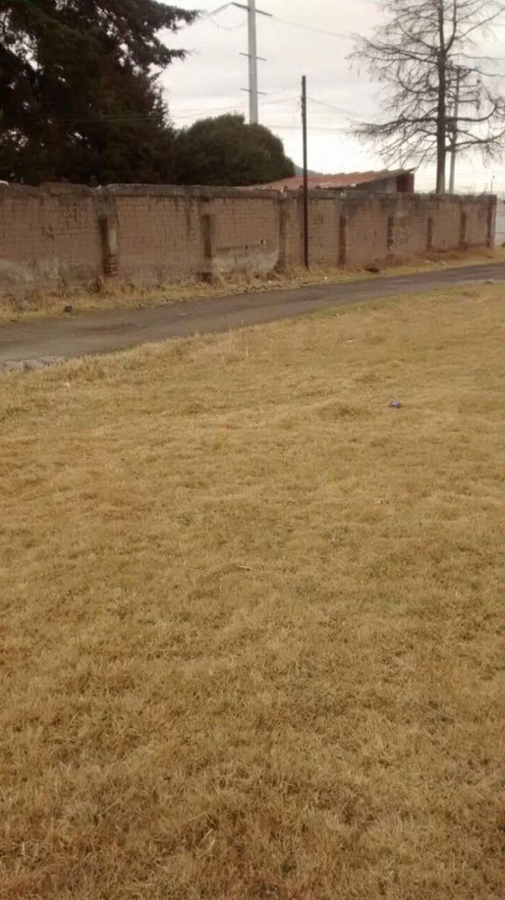  Land in Zinacantepec, Mexico No. 202576