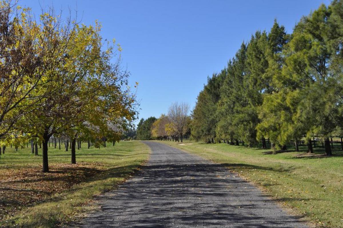  Land in Buenos Aires, Argentina No. 115684