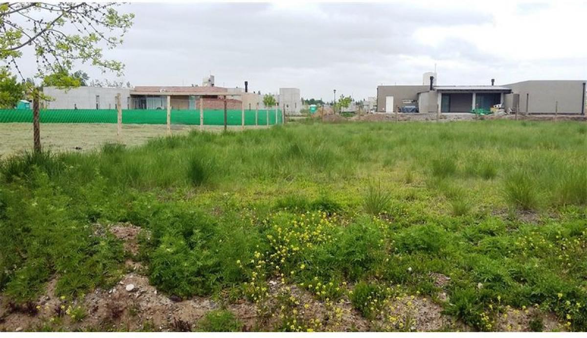  Land in Rio Negro, Argentina No. 38159