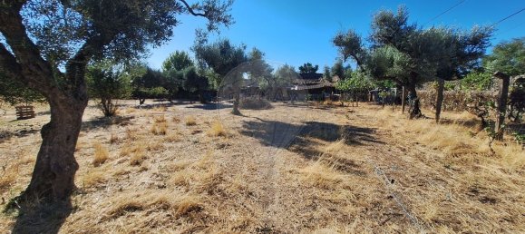 Casa T4 em Castelo Branco, Portugal N.º 43867 18