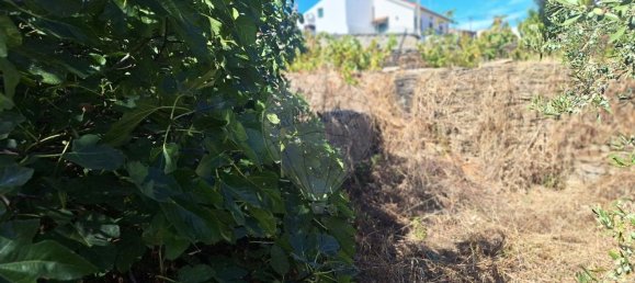 Casa T4 em Castelo Branco, Portugal N.º 43867 16