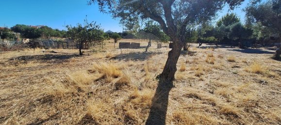 Casa T4 em Castelo Branco, Portugal N.º 43867 19