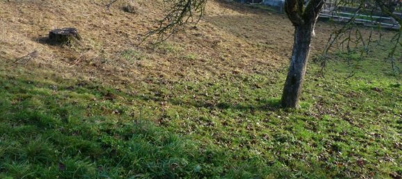 1198m² Land in Saint-Geoire-en-Valdaine, France No. 78809 5