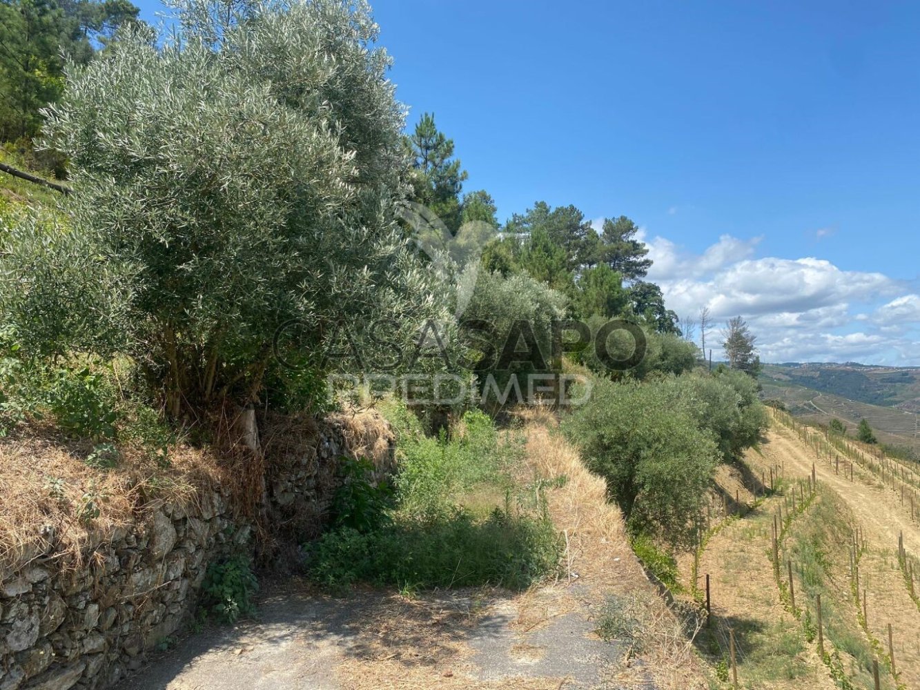 Дом с 2 спальнями в Картейра, Португалия № 198323