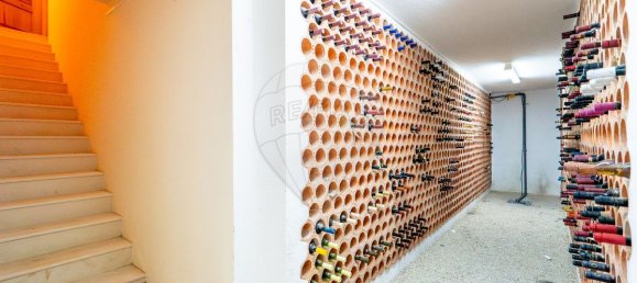 5 غرف نوم قلاع في Benavente, Portugal رقم 29419 18