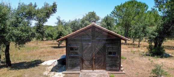 5 غرف نوم قلاع في Benavente, Portugal رقم 29419 37