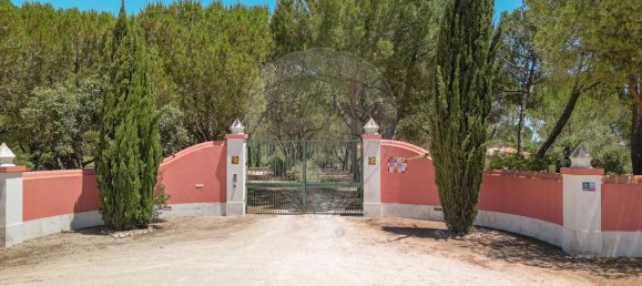 5 غرف نوم قلاع في Benavente, Portugal رقم 29419 3