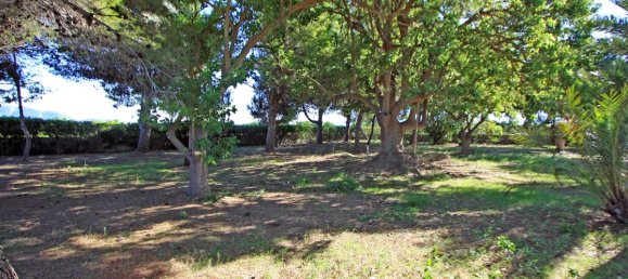 4 bedrooms Villa in Els Poblets, Spain No. 10178 25