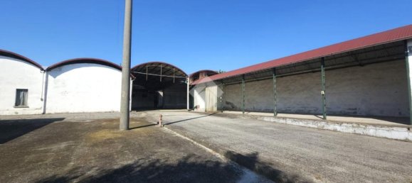 3 rooms House in San Martino dall'Argine, Italy No. 271699 16