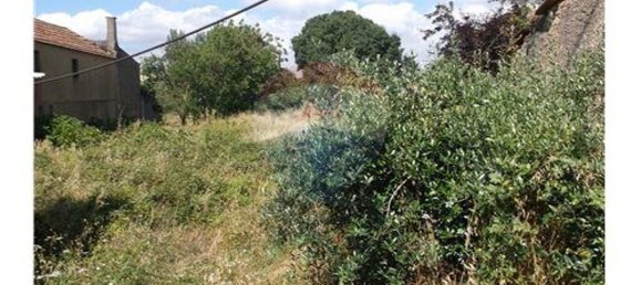 1 bedroom House in Avelar, Portugal No. 168008 4