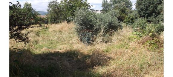 1 bedroom House in Avelar, Portugal No. 168008 9