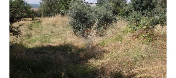 1 bedroom House in Avelar, Portugal No. 168008 10