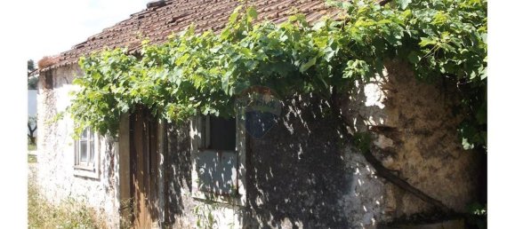 1 bedroom House in Avelar, Portugal No. 168008 7