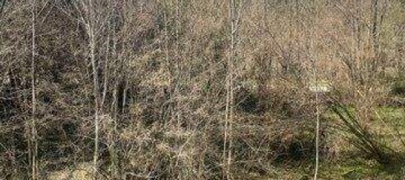 5 rooms Duplex in Elsbethen, Austria No. 176961 7