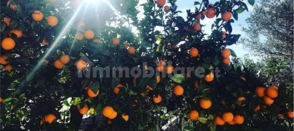 Вилла с 5 спальнями в Бовалино, Италия № 340113 27