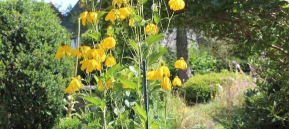 Дом с 6 комнатами в Дрезден, Германия № 20358 14