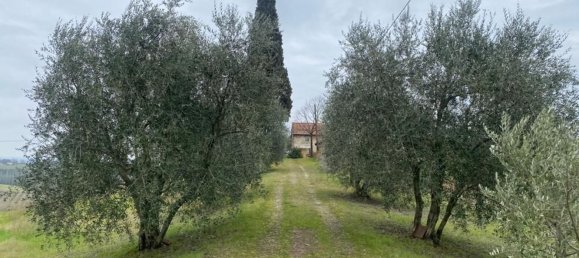 150000m² Land in Imola, Italy No. 294843 3