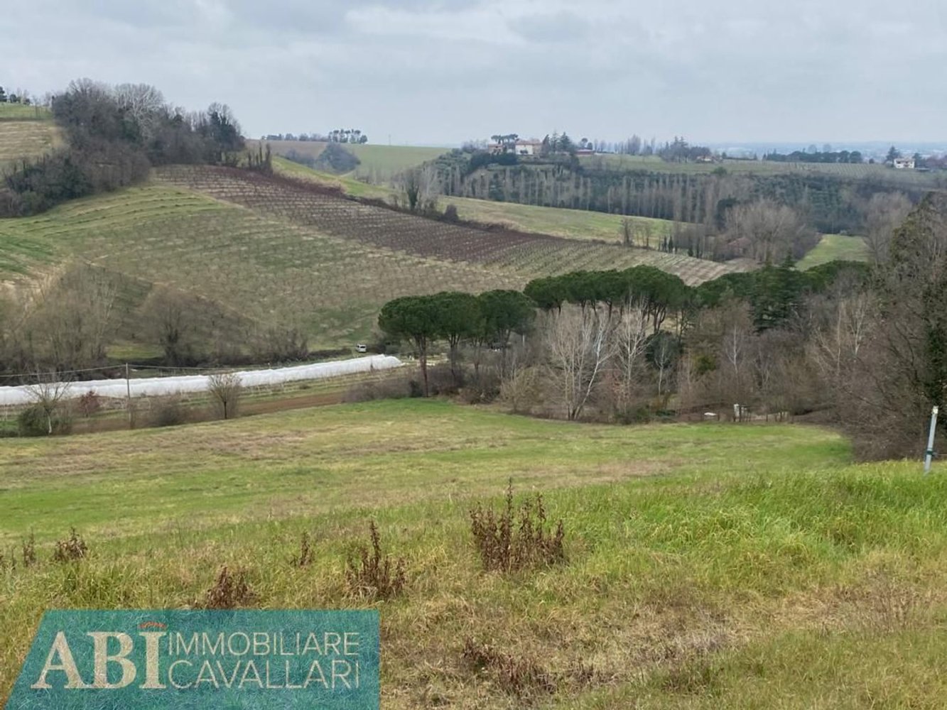 150000m² Land in Imola, Italy No. 294843