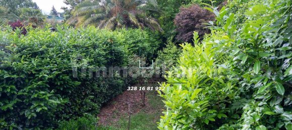 3 bedrooms House in Avellino, Italy No. 213638 35