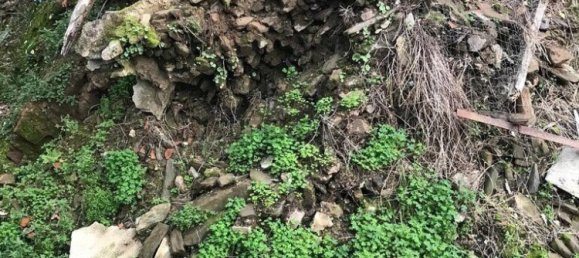 2 bedrooms House in Peso da Regua, Portugal No. 155651 9