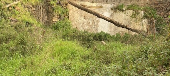 2 bedrooms House in Peso da Regua, Portugal No. 155651 22