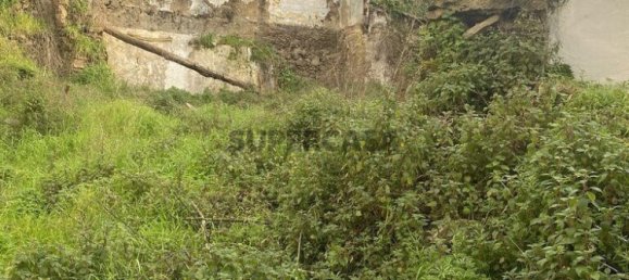 2 bedrooms House in Peso da Regua, Portugal No. 155651 14