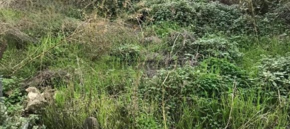 2 bedrooms House in Peso da Regua, Portugal No. 155651 11