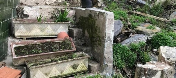 2 bedrooms House in Peso da Regua, Portugal No. 155651 6