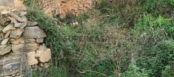 2 bedrooms House in Peso da Regua, Portugal No. 155651 12