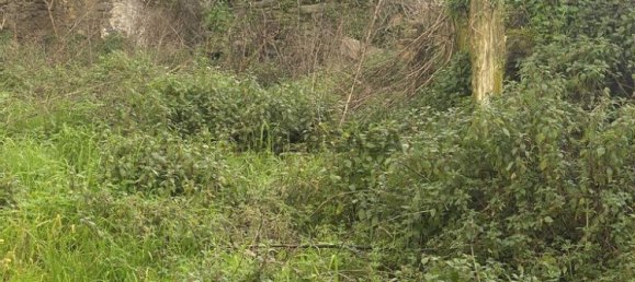 2 bedrooms House in Peso da Regua, Portugal No. 155651 24