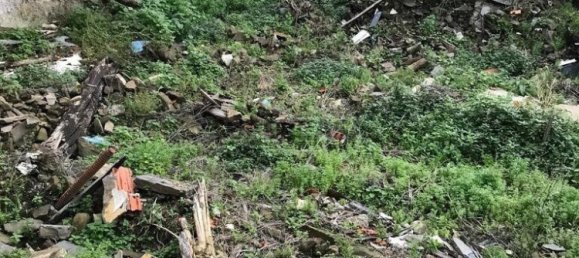 2 bedrooms House in Peso da Regua, Portugal No. 155651 7