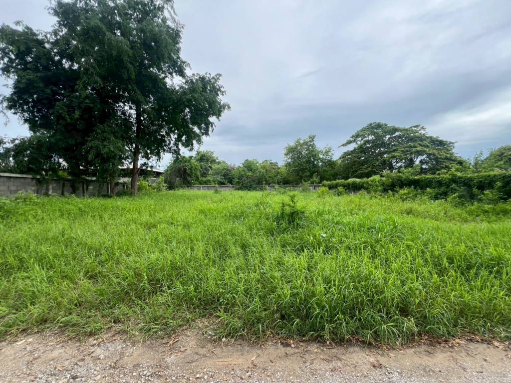 Terreno em Hua Hin, Thailand N.º 59844